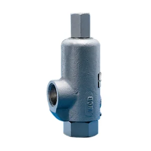 Kunkle Valve Models 71S, 171, 171P and 171S Safety Relief Valves