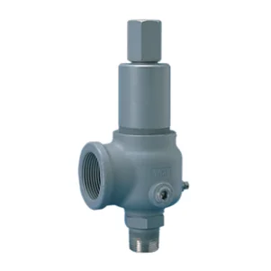 900 Safety Relief Valves