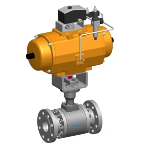 Control Ball Valve Type W (1)