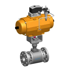 Control Ball Valve Type W