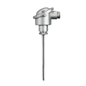 Mineral-insulated RTD temperature probe with terminal head form B