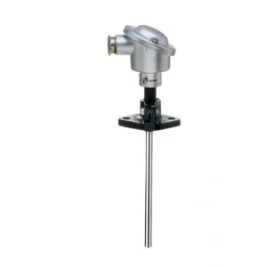 Push-in RTD temperature probe with terminal head form B