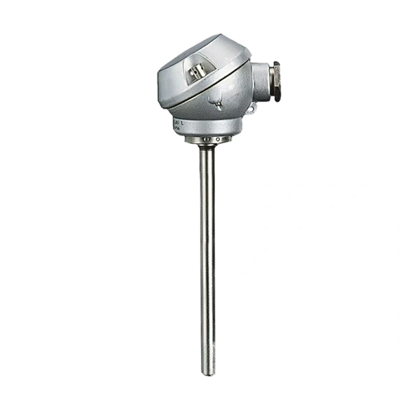 Push-in RTD temperature probe with terminal head form J