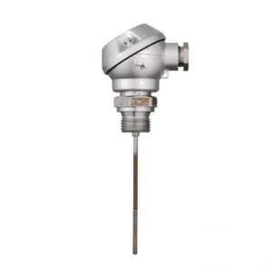 Mineral-insulated RTD temperature probe with terminal head form J