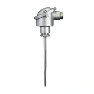 Mineral-insulated thermocouples with terminal head form B